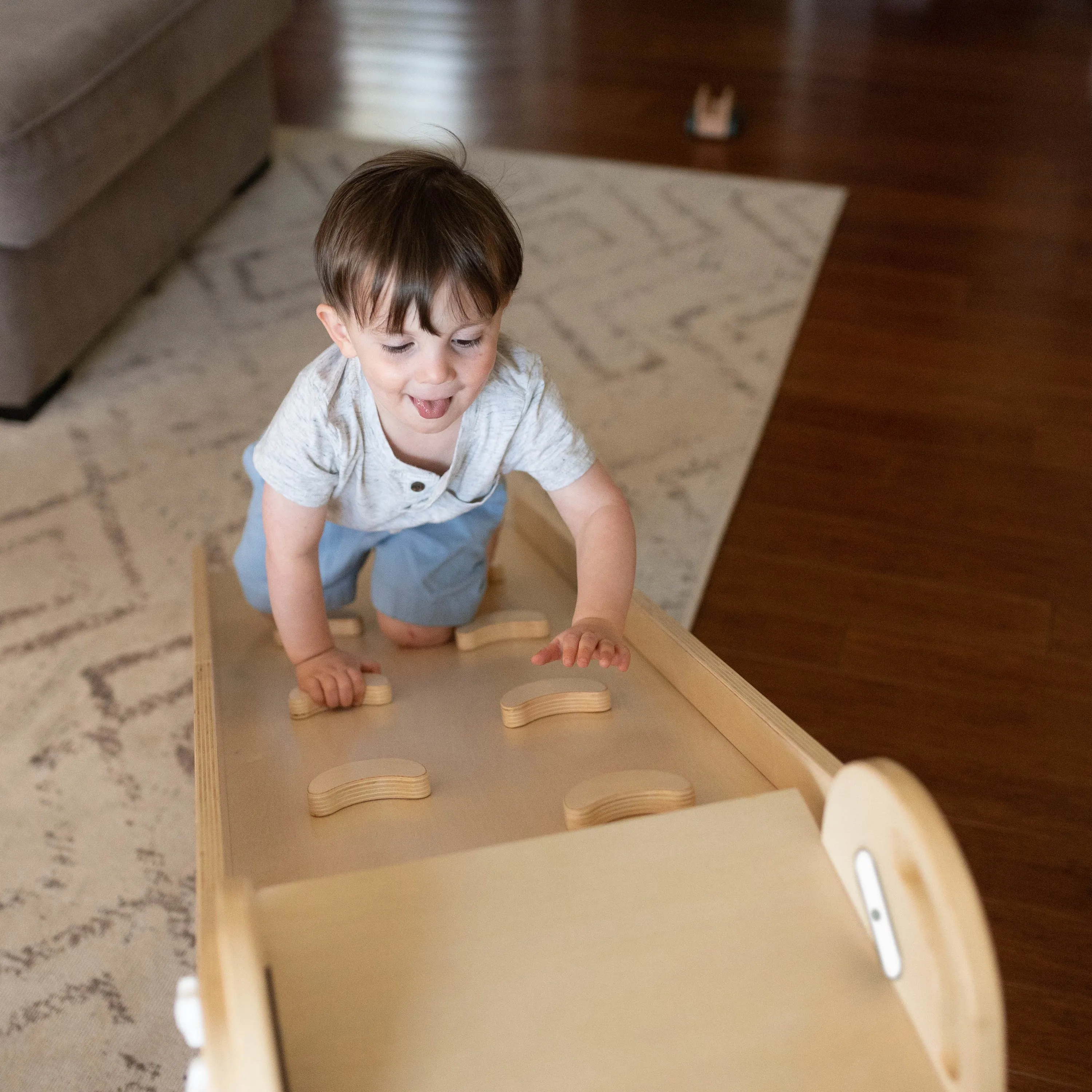 2-in-1 Learn 'n Slide/climb