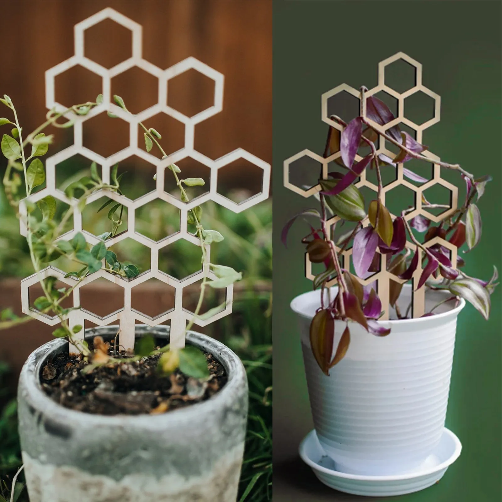 3 Pack Beehive Trellis for Potted Plants