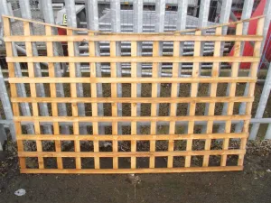 6' x 4' Crescent Trellis