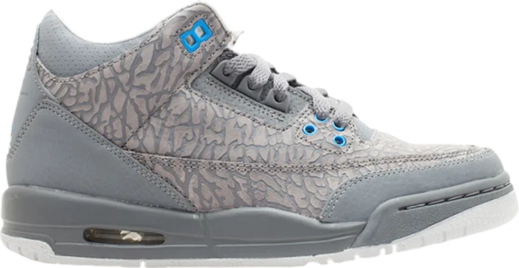 Air Jordan 3 Retro GS Cool Gray Blue Glow Sneakers, gray