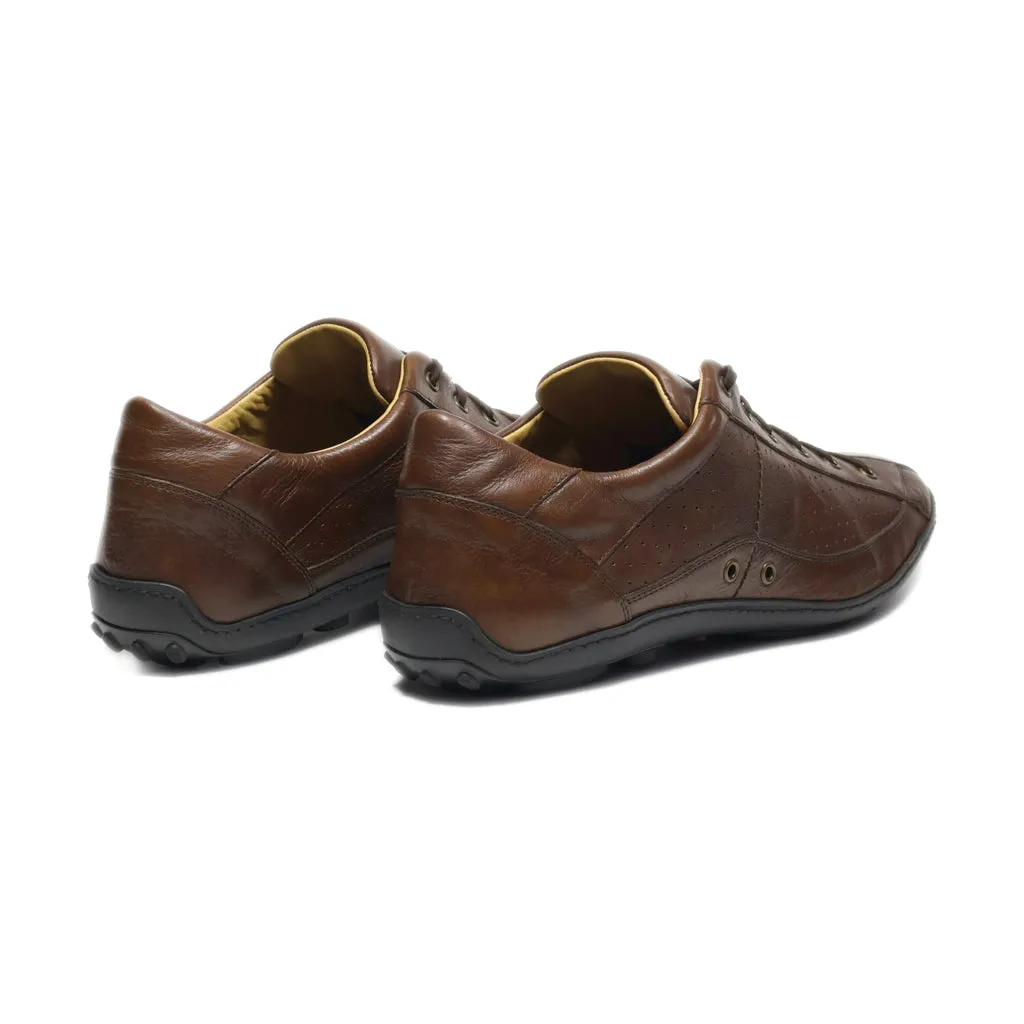 Aldo Formal Lace Ups Leather Brown Colour For Men