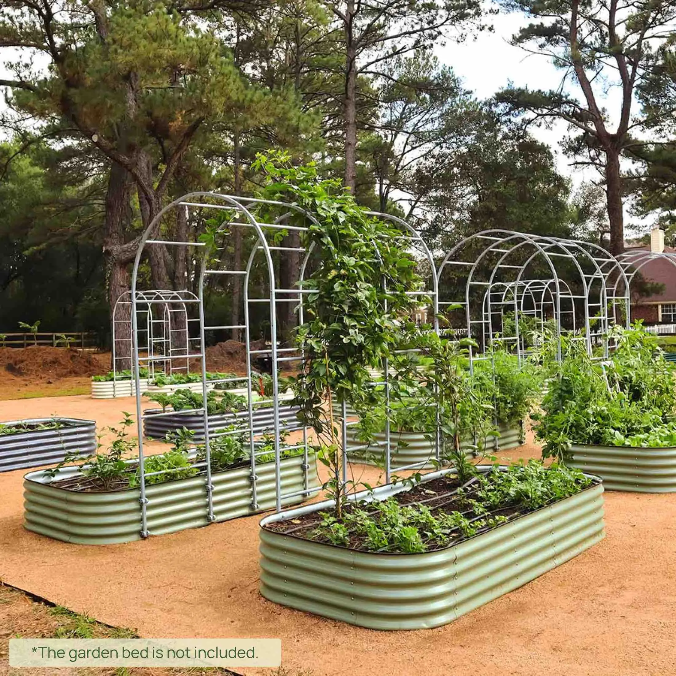 Arched Trellis System