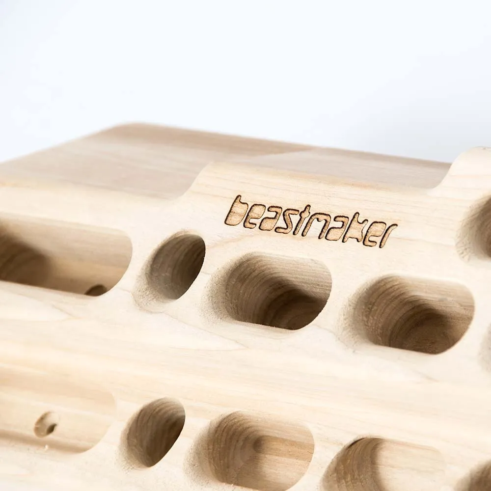 Beastmaker 2000 Hangboard