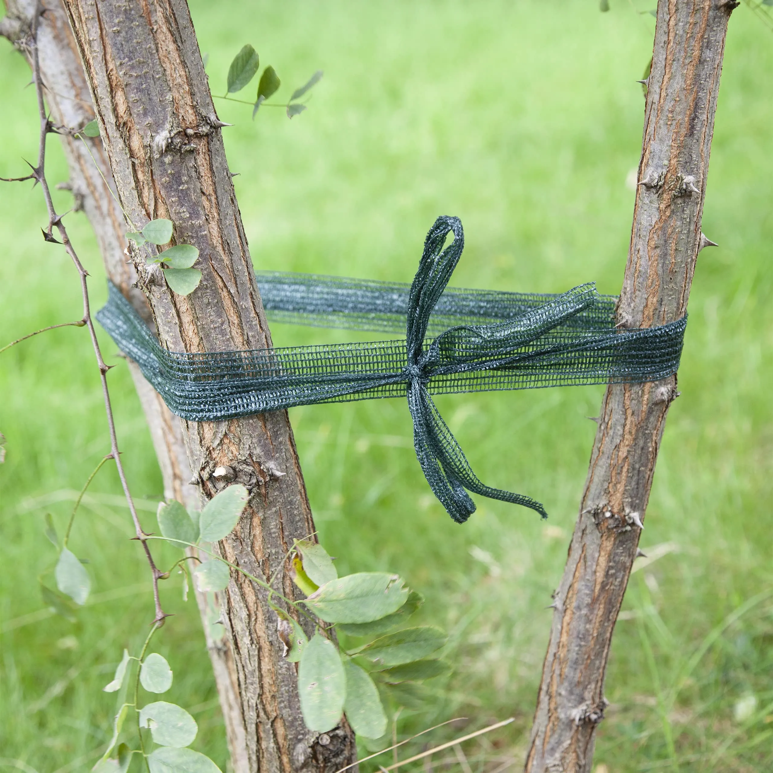 Garden Netting: 164ft Dark Green Plant Ties As Weatherproof Climbing Plant