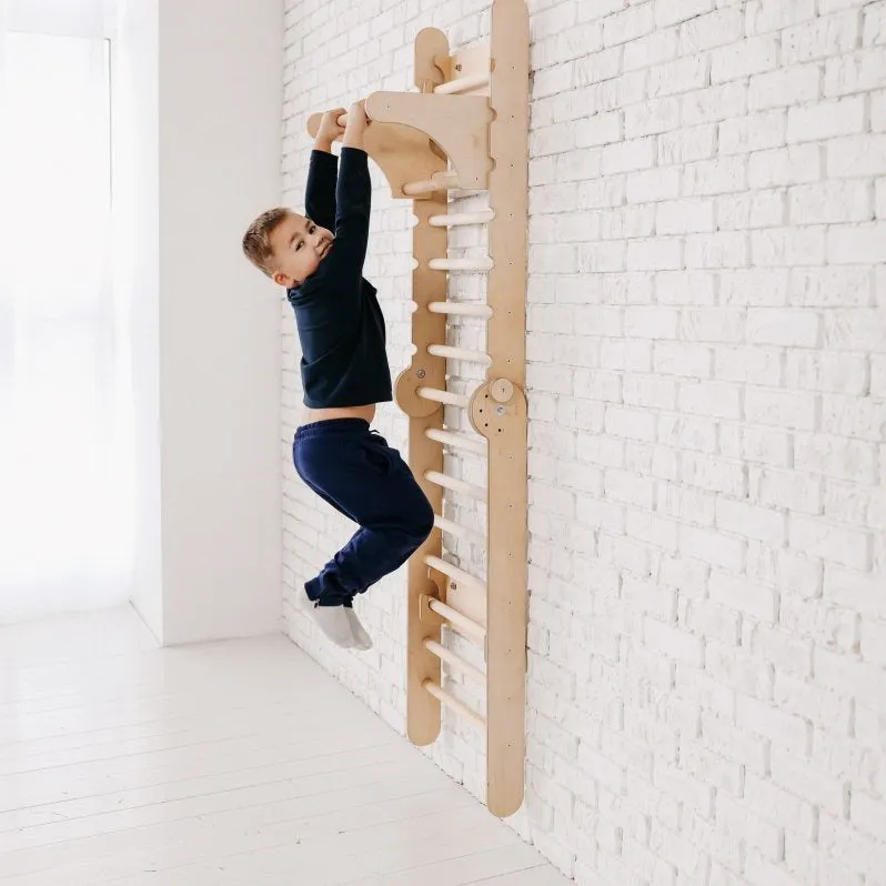 Gym Addition To The Climbing Ladders