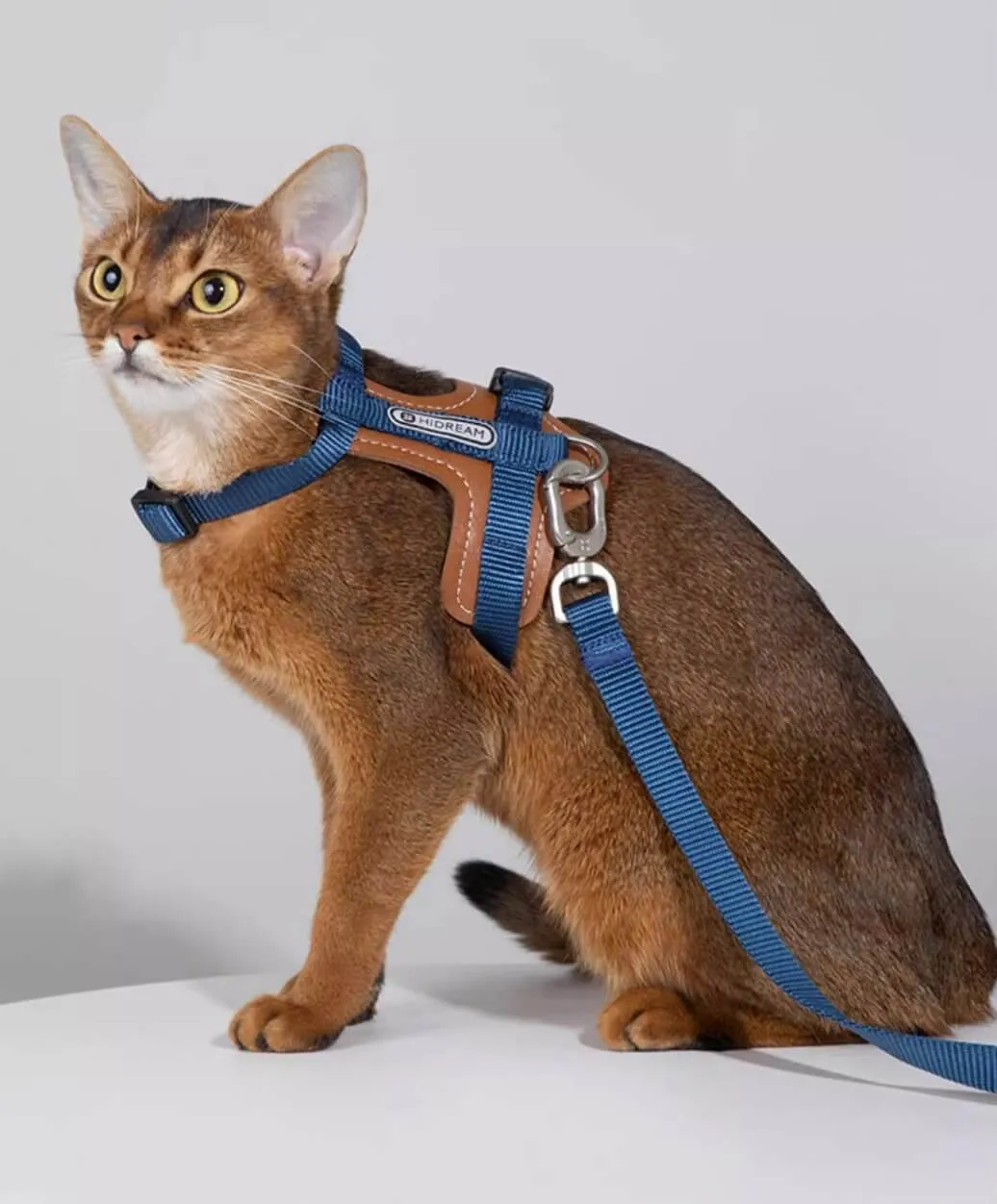 HiDREAM Cat Harness & Leash Set Adjustable Breathable Vest with Reflective Design