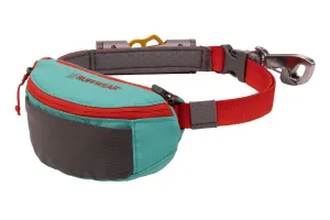 Hitch Hiker Leash