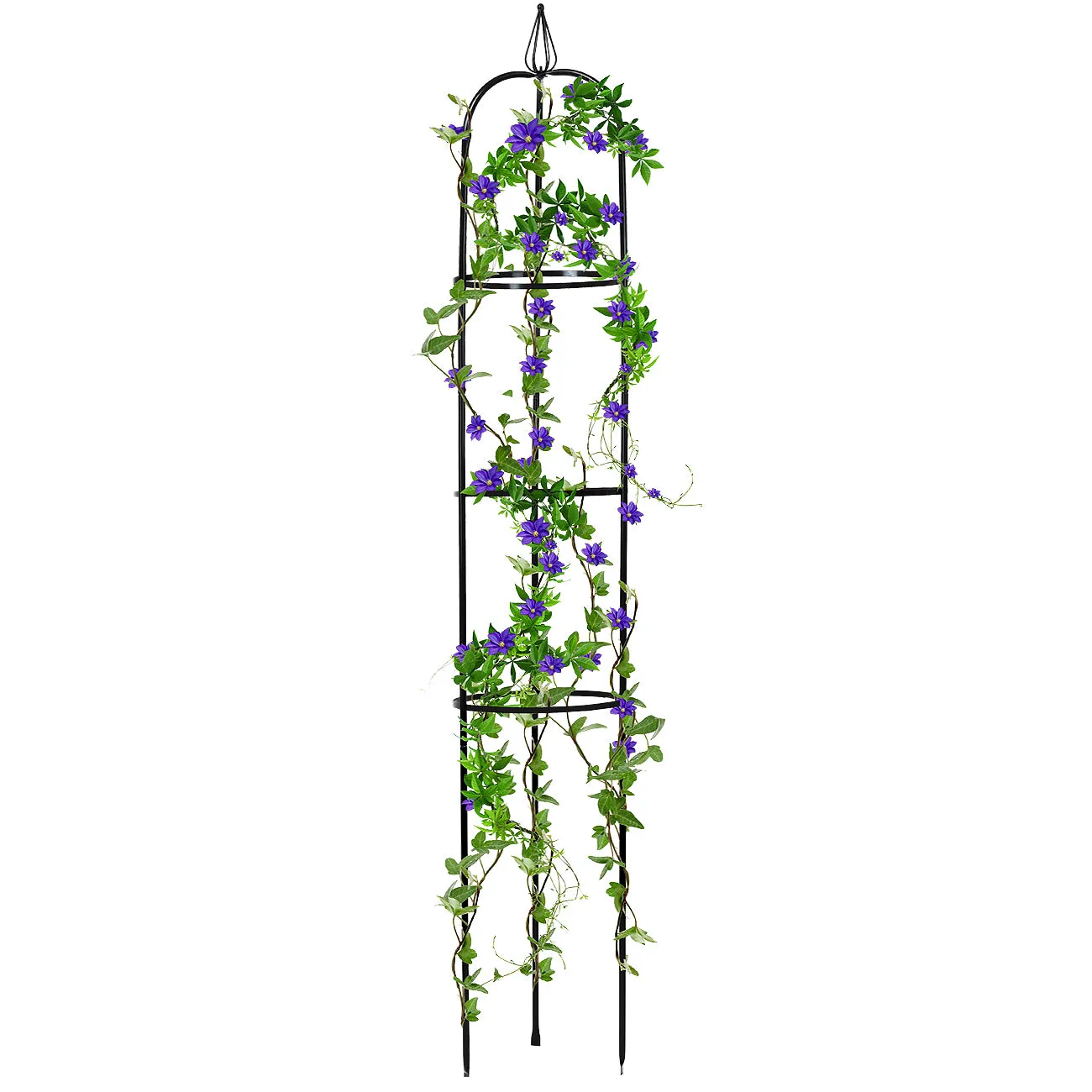 Obelisk Garden Trellis