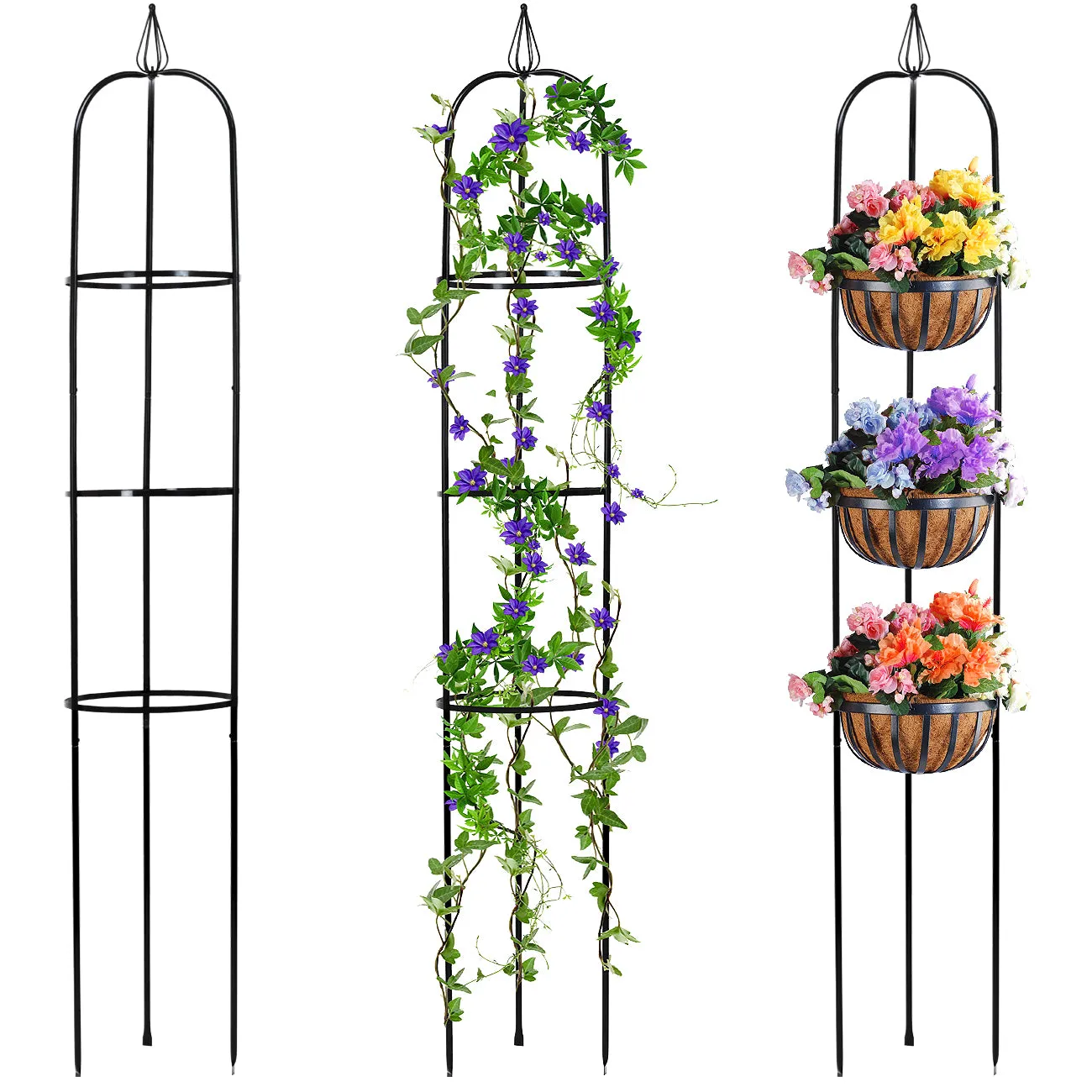 Obelisk Garden Trellis