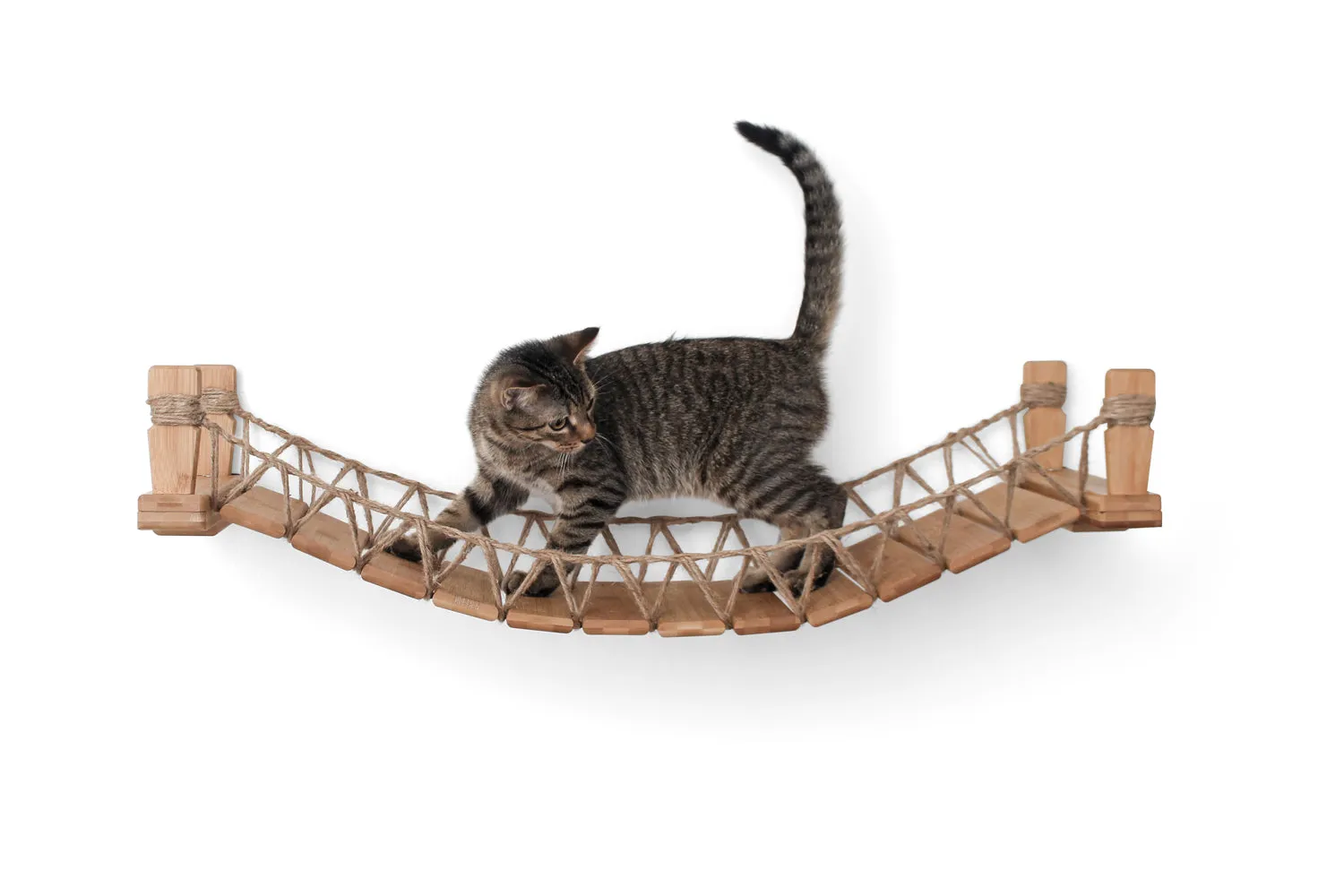 Our Wall-Mounted Cat Bridge