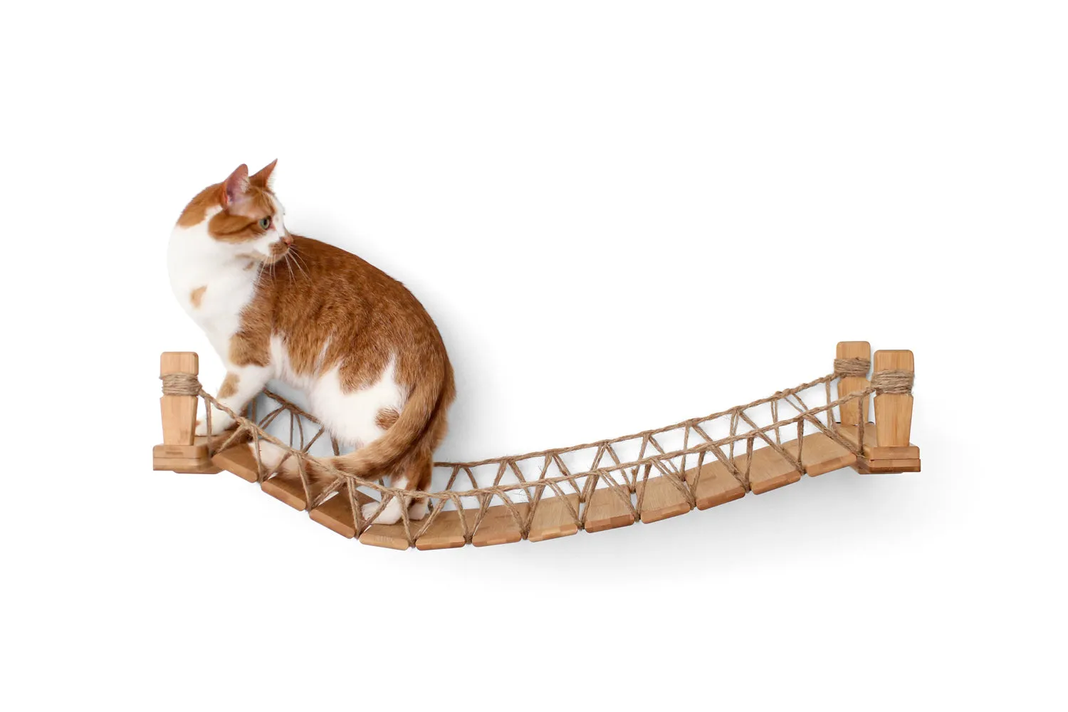 Our Wall-Mounted Cat Bridge