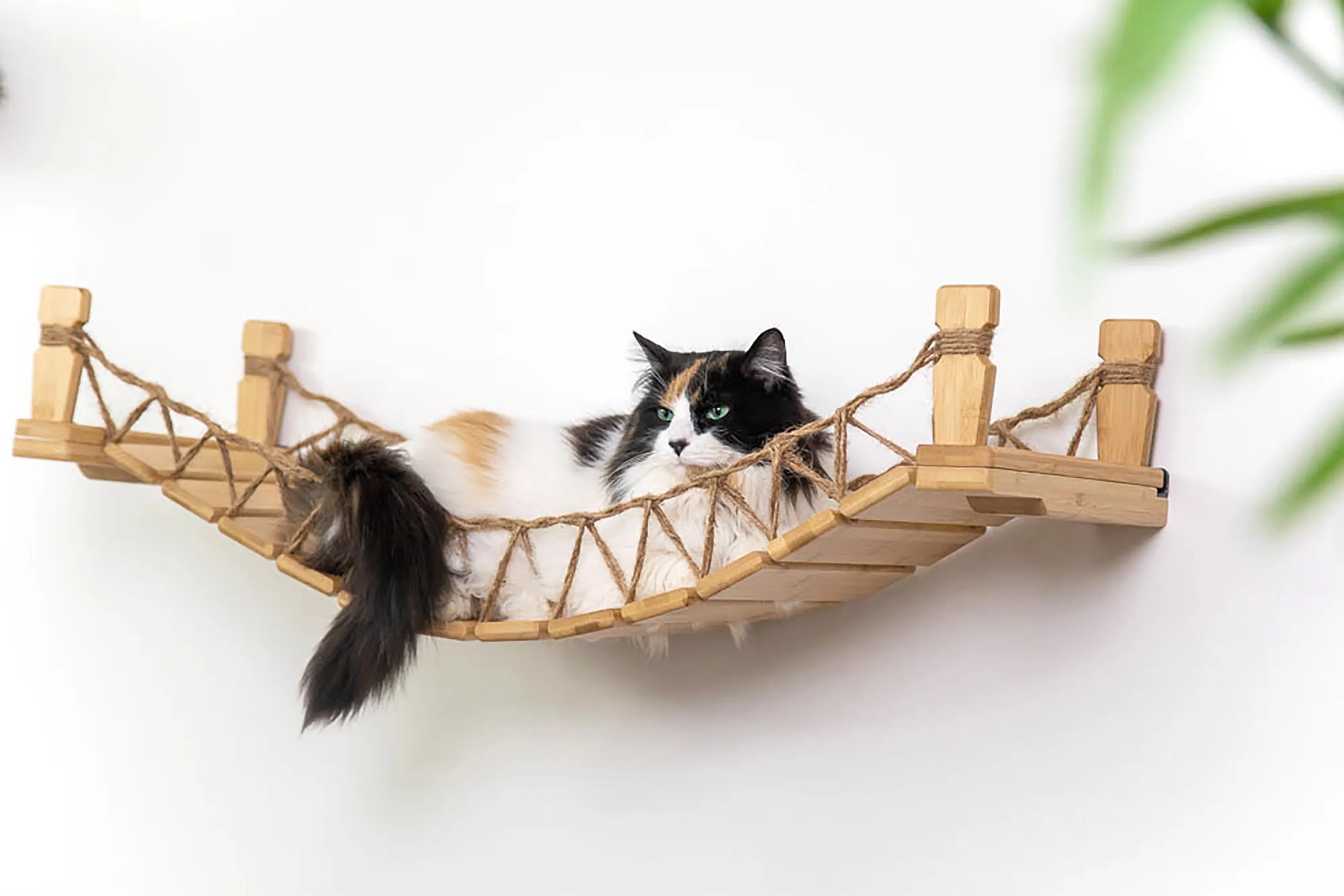 Our Wall-Mounted Cat Bridge