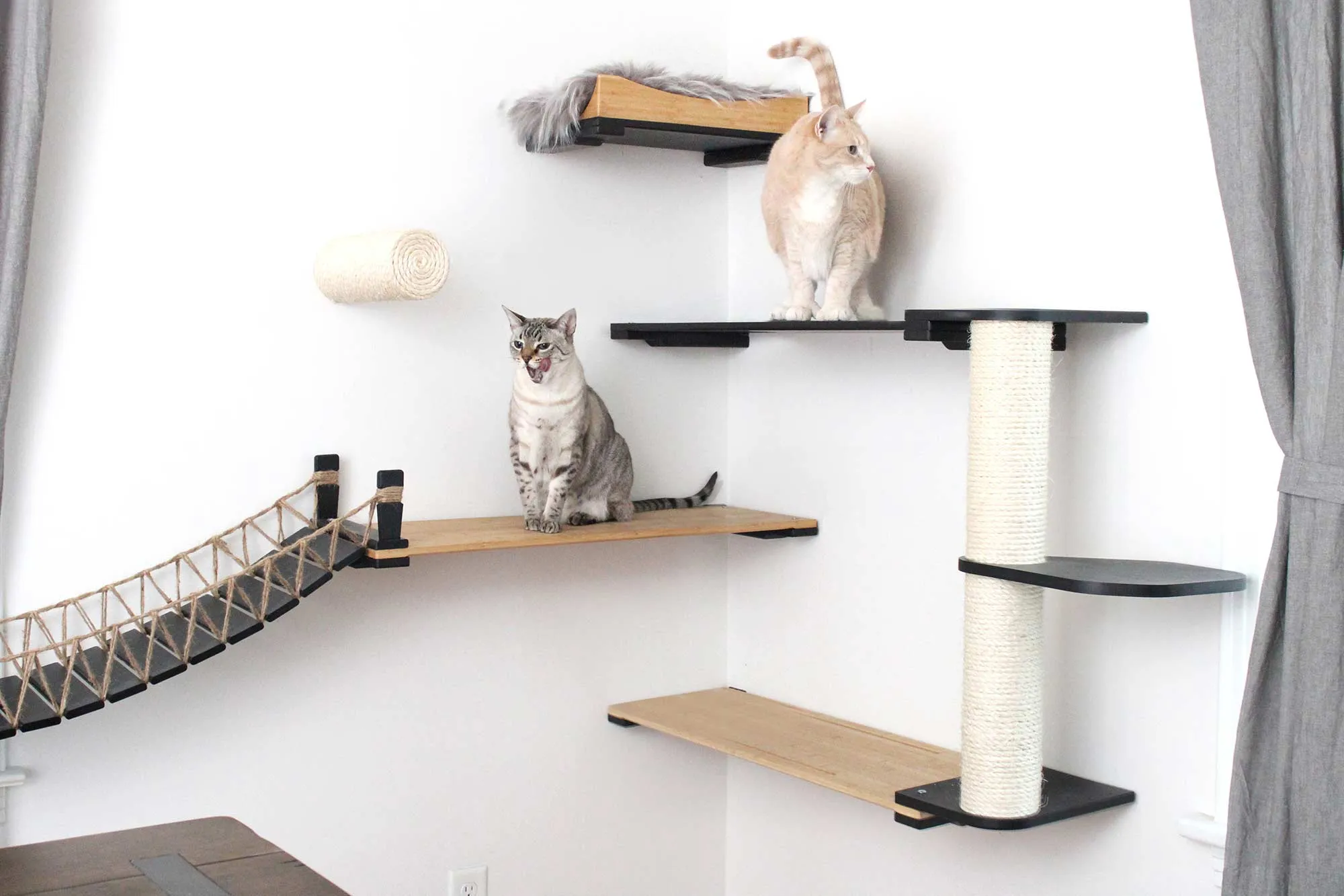 Our Wall-Mounted Cat Bridge