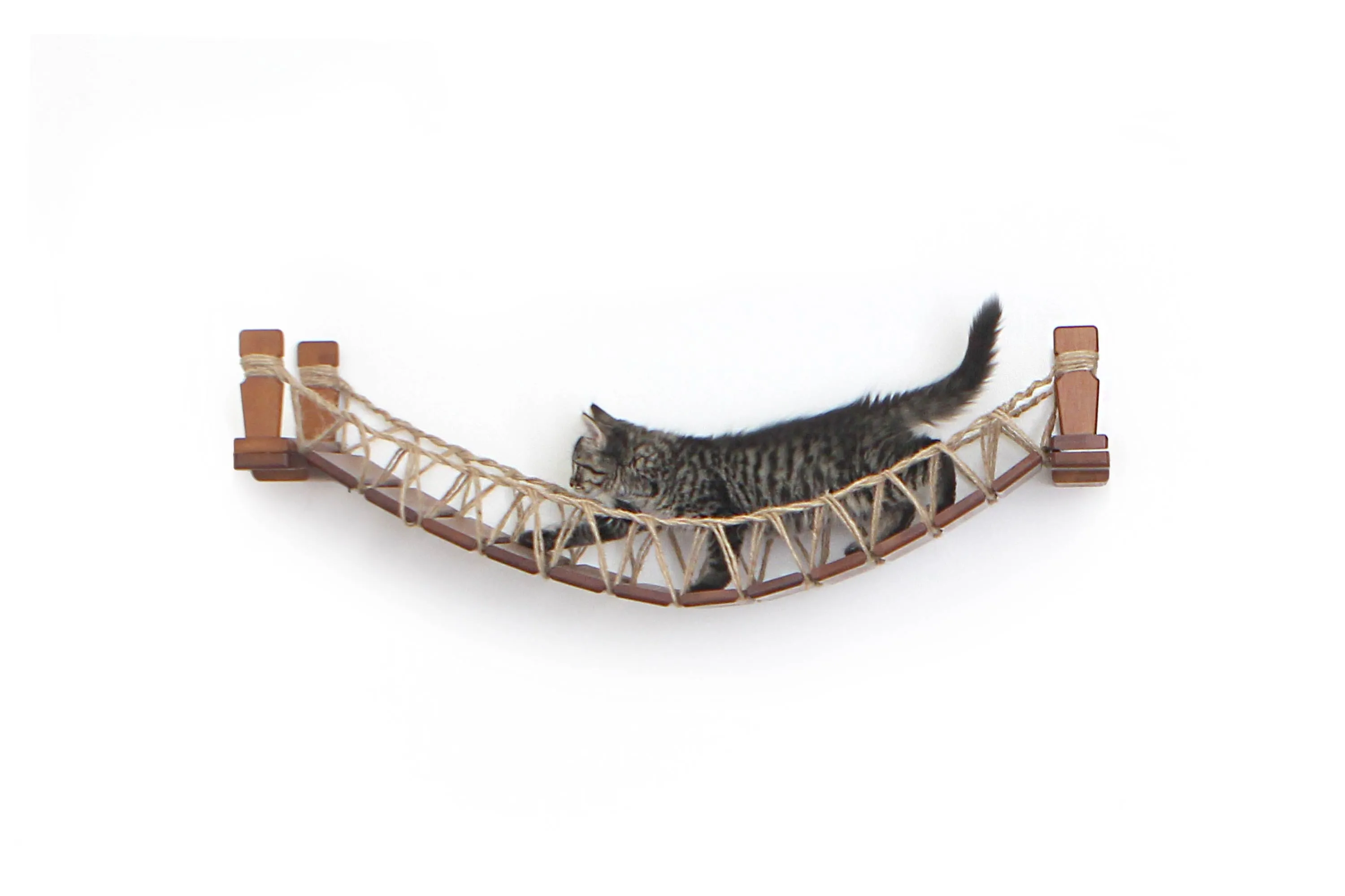 Our Wall-Mounted Cat Bridge