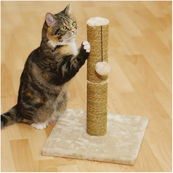 Rosewood Turin Cat Scratcher