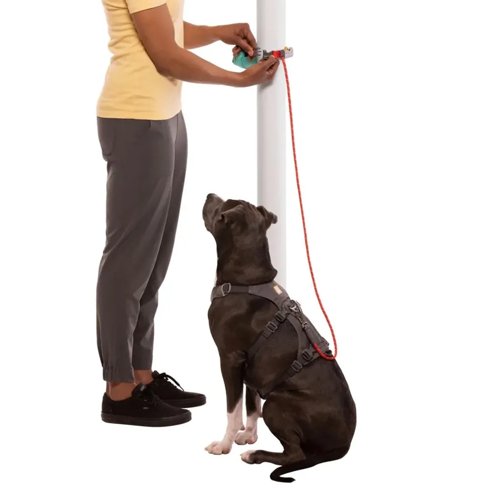 Ruffwear Hitch Hiker Portable Hitch & Dog Leash Pack (Aurora Teal)