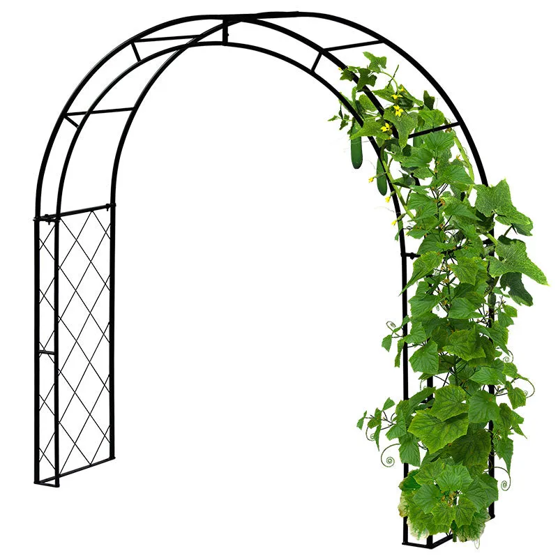 Vegtrug Climbing Arch